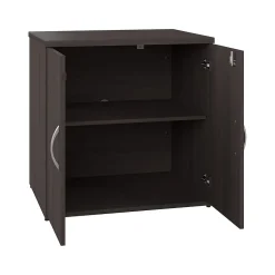 Bush Business Furniture Storage Cabinets<Studio C 30" Storage Cabinet with 2 Shelves, Storm Gray (SCS130SG)