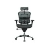 Eurotech Office Chairs<High Back Mesh Task Chair, Black (ME7ERG(N))