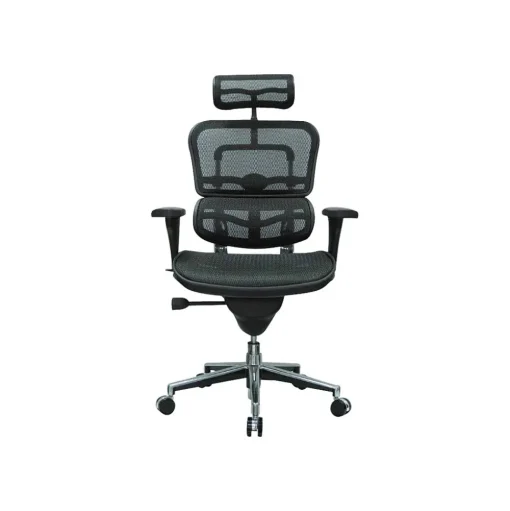 Eurotech Office Chairs<High Back Mesh Task Chair, Black (ME7ERG(N))