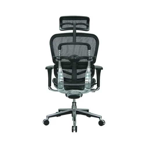 Eurotech Office Chairs<High Back Mesh Task Chair, Black (ME7ERG(N))