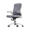 RAYNOR GROUP Office Chairs<ION Fabric Task Chair, Gray/White (ION-WH-GRY)