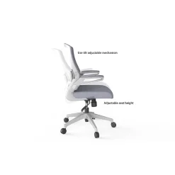 RAYNOR GROUP Office Chairs<ION Fabric Task Chair, Gray/White (ION-WH-GRY)