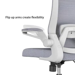 RAYNOR GROUP Office Chairs<ION Fabric Task Chair, Gray/White (ION-WH-GRY)
