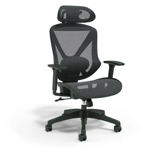 Staples Ergonomic Chairs<® Dexley Ergonomic Mesh Swivel Task Chair, (UN56946)
