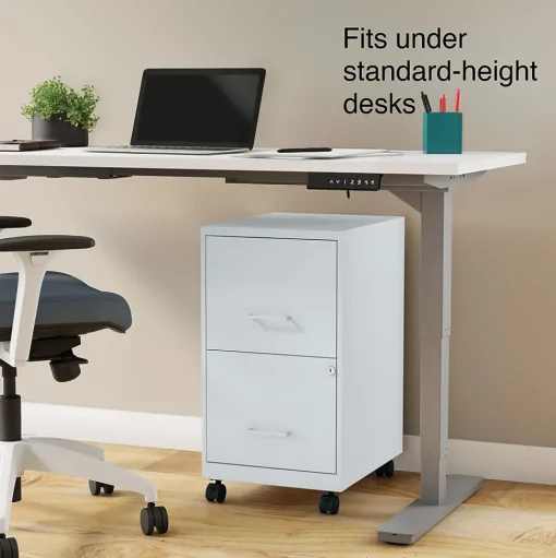 Staples File Cabinets<2-Drawer Mobile Vertical File Cabinet, Letter Size, Lockable, 26.3"H x 14.3"W x 18.9"D, Gray (ST60053-CC)